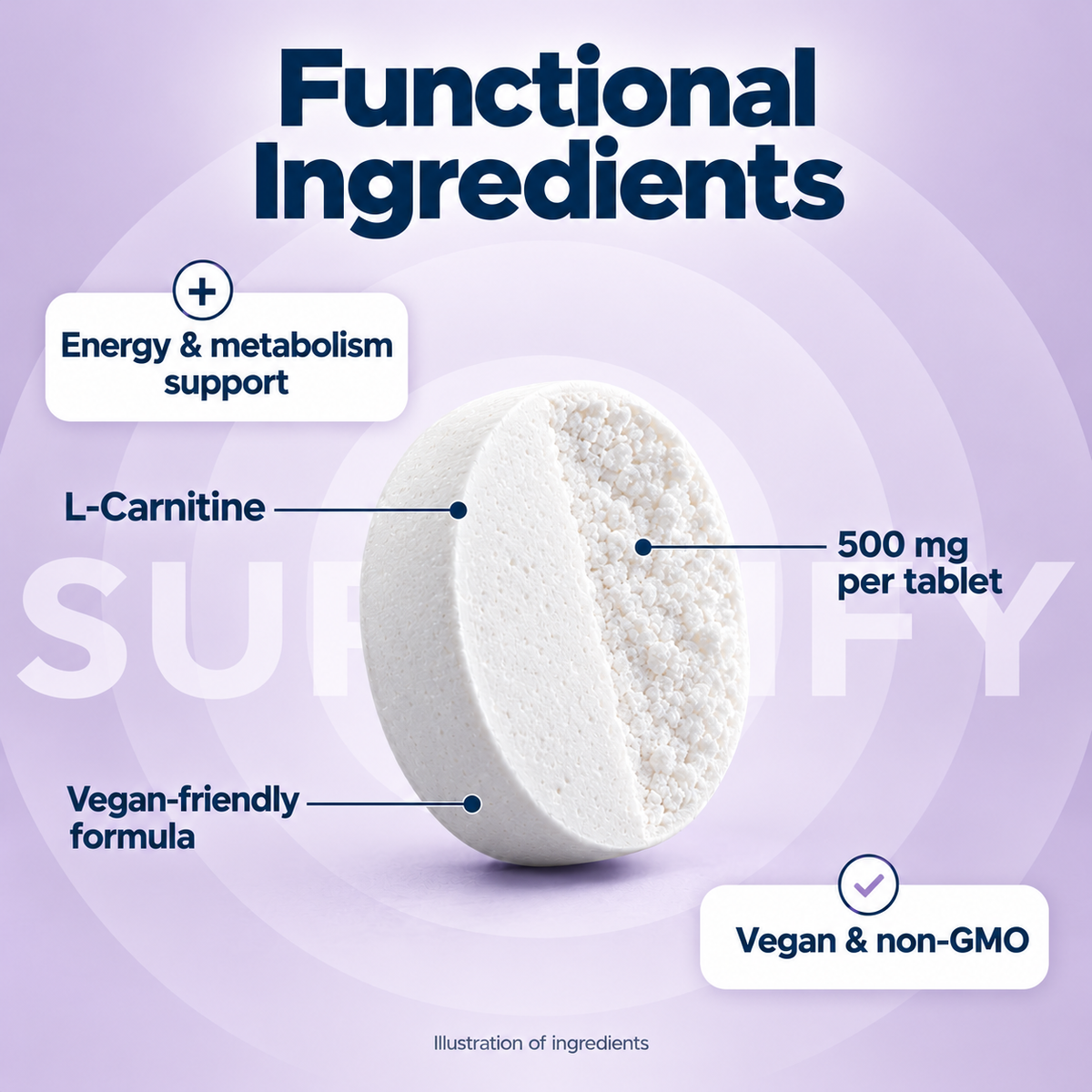 Supplify L-Carnitine 500mg – 60 Tablets