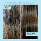 The Nourish: Rosemary Shampoo