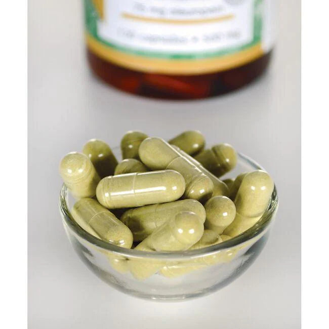 Olive Leaf Extract - 500mg 120 Caps